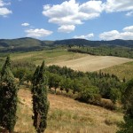 Vignoble en Toscane